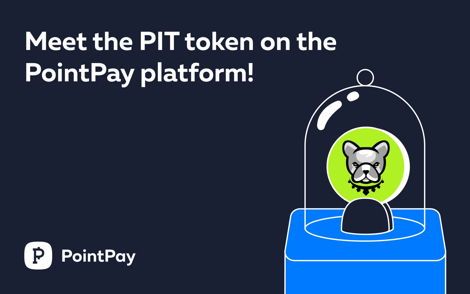 Pitbull (PIT) token is listed on the PointPay platform!