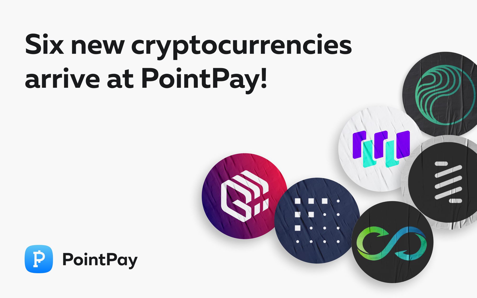 Introducing 6 New Assets on the PointPay Platform!