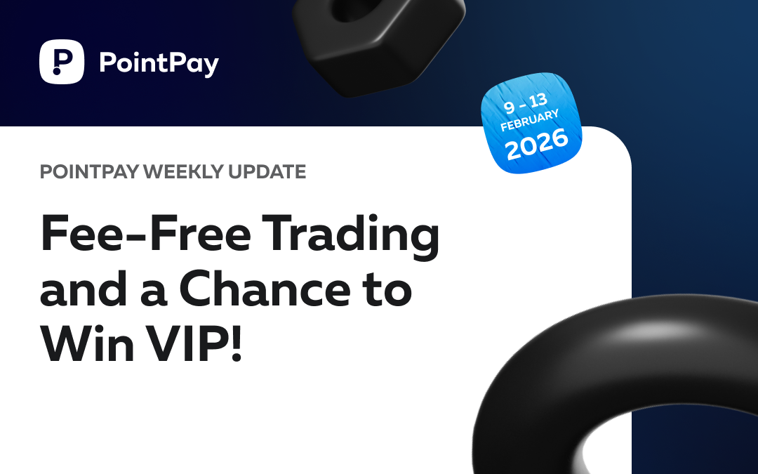 PointPay Weekly Update (9 - 13 February)