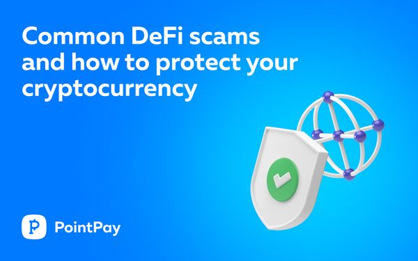 Common DeFi Scams and How to Protect Your Cryptocurrency
