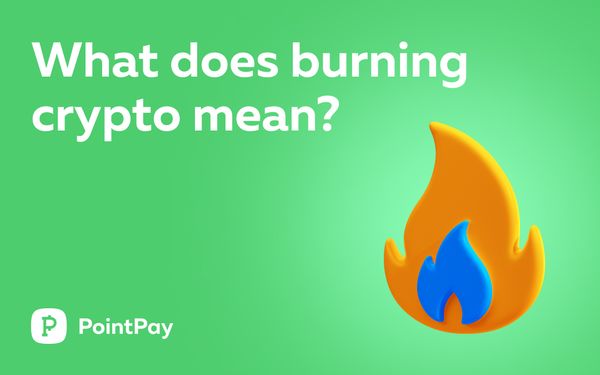 What Does Burning Crypto Mean?: A Deep Dive Into the Controversial Crypto Practice