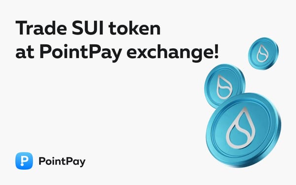 Sui: Redefining the Blockchain Experience