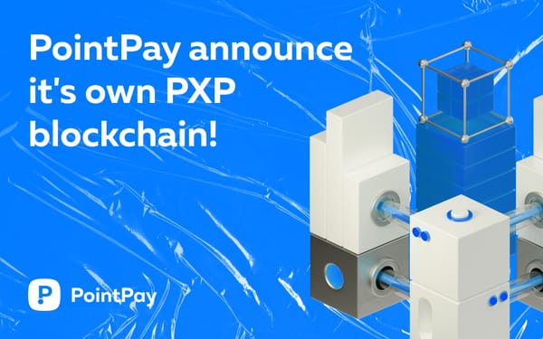 PointPay develops its own blockchain!