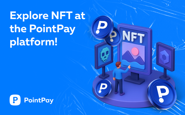 Release of the PointPay NFT Platform!
